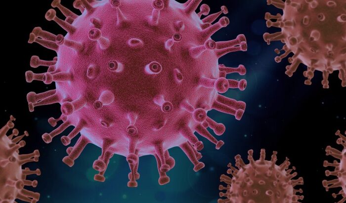 virus, covid, science-4937553.jpg